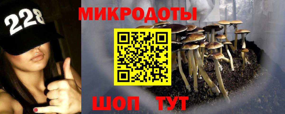 Псилоцибиновые грибы Cubensis Коммунар